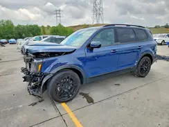 5XYP5DGCXRG428916 2024 KIA TELLURIDE