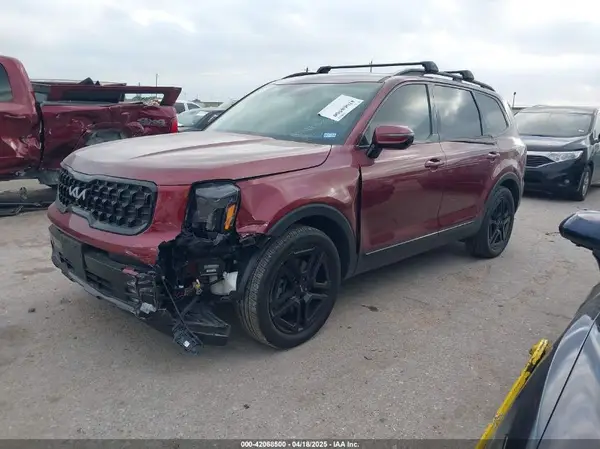 5XYP5DGCXRG433873 2024 KIA TELLURIDE - Image 2