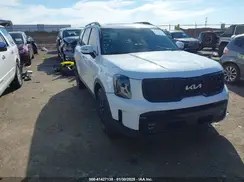 5XYP5DGCXRG440273 2024 KIA TELLURIDE