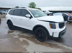 5XYP5DGCXRG447854 2024 KIA TELLURIDE