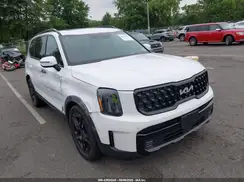 5XYP5DGCXRG454464 2024 KIA TELLURIDE