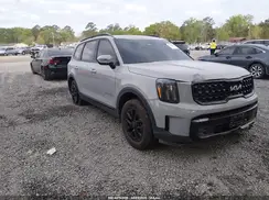 5XYP5DGCXRG460846 2024 KIA TELLURIDE