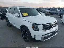 5XYP5DGCXRG478148 2024 KIA TELLURIDE