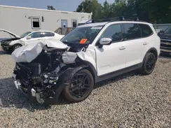 5XYP5DGCXRG496293 2024 KIA TELLURIDE
