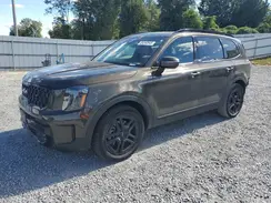 5XYP5DGCXRG497427 2024 KIA TELLURIDE