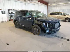 5XYP5DGCXRG513366 2024 KIA TELLURIDE