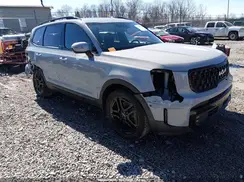 5XYP5DGCXRG526022 2024 KIA TELLURIDE