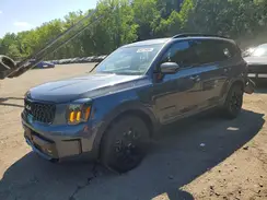 5XYP5DGCXRG526831 2024 KIA TELLURIDE