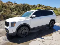 5XYP5DGCXRG550434 2024 KIA TELLURIDE