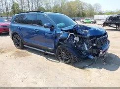 5XYP5DGCXRG562258 2024 KIA TELLURIDE