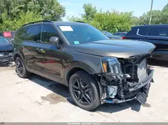 5XYP5DGCXRG563233 2024 KIA TELLURIDE
