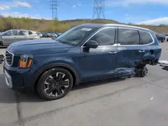 5XYP5DGCXSG585397 2025 KIA TELLURIDE
