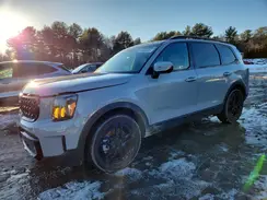 5XYP5DGCXSG601243 2025 KIA TELLURIDE