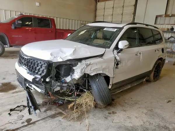 5XYP5DGCXSG625123 2025 KIA TELLURIDE - Image 1