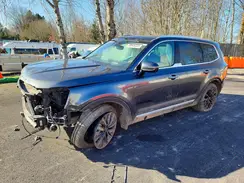 5XYP5DHC0LG028840 2020 KIA TELLURIDE