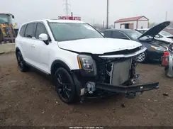 5XYP5DHC0LG087810 2020 KIA TELLURIDE