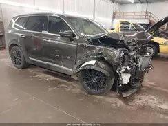 5XYP5DHC0LG087905 2020 KIA TELLURIDE