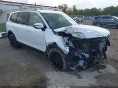 5XYP5DHC0MG145965 2021 KIA TELLURIDE