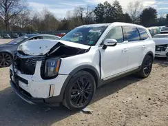 5XYP5DHC1LG035246 2020 KIA TELLURIDE