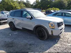5XYP5DHC1MG174813 2021 KIA TELLURIDE