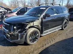 5XYP5DHC1NG206645 2022 KIA TELLURIDE