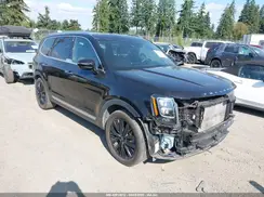 5XYP5DHC2LG014356 2020 KIA TELLURIDE