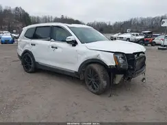 5XYP5DHC2LG029567 2020 KIA TELLURIDE
