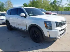 5XYP5DHC2LG042206 2020 KIA TELLURIDE