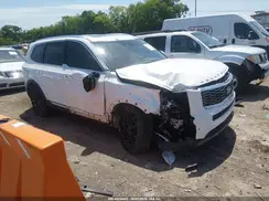 5XYP5DHC2LG046725 2020 KIA TELLURIDE