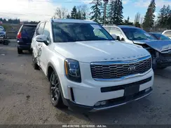 5XYP5DHC2LG080616 2020 KIA TELLURIDE