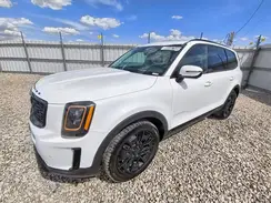 5XYP5DHC2MG118671 2021 KIA TELLURIDE