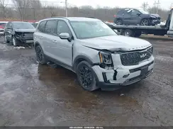 5XYP5DHC2NG221025 2022 KIA TELLURIDE