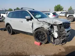 5XYP5DHC2NG240187 2022 KIA TELLURIDE