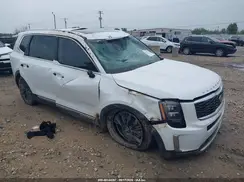 5XYP5DHC3LG016553 2020 KIA TELLURIDE