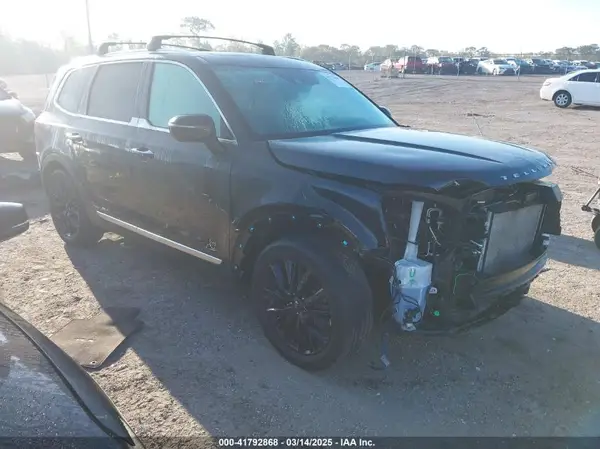 5XYP5DHC3LG039752 2020 KIA TELLURIDE - Image 1