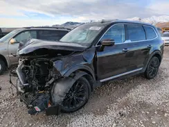 5XYP5DHC3MG114161 2021 KIA TELLURIDE