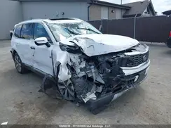 5XYP5DHC3MG149640 2021 KIA TELLURIDE