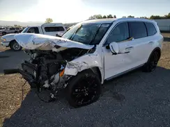 5XYP5DHC3MG176532 2021 KIA TELLURIDE