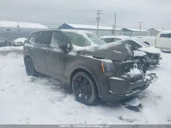 5XYP5DHC3NG299572 2022 KIA TELLURIDE
