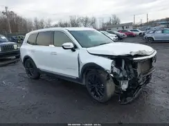 5XYP5DHC4LG042983 2020 KIA TELLURIDE