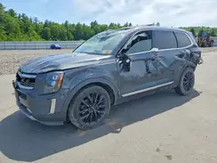 5XYP5DHC4LG060819 2020 KIA TELLURIDE