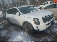 5XYP5DHC4LG087096 2020 KIA TELLURIDE