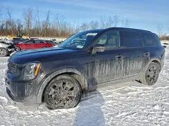 5XYP5DHC4MG167922 2021 KIA TELLURIDE