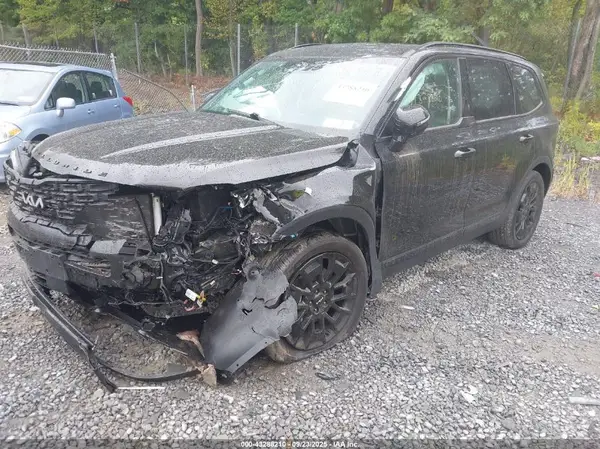 5XYP5DHC4NG303497 2022 KIA TELLURIDE - Image 2