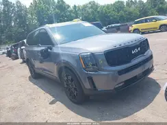 5XYP5DHC4NG316248 2022 KIA TELLURIDE