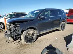 5XYP5DHC5LG047383 2020 KIA TELLURIDE