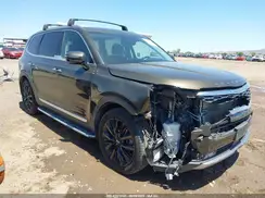 5XYP5DHC5LG051661 2020 KIA TELLURIDE