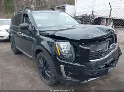 5XYP5DHC5LG079332 2020 KIA TELLURIDE