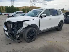 5XYP5DHC6LG031824 2020 KIA TELLURIDE