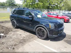 5XYP5DHC6MG095833 2021 KIA TELLURIDE